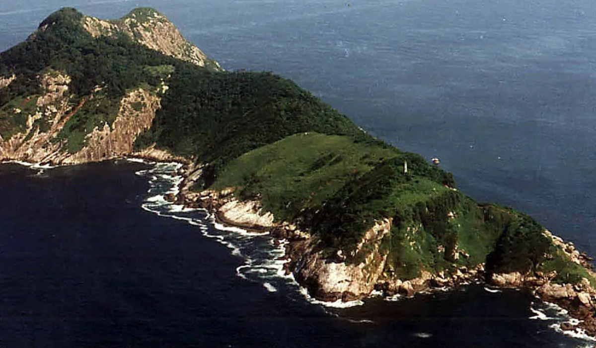 snake island, sao paulo