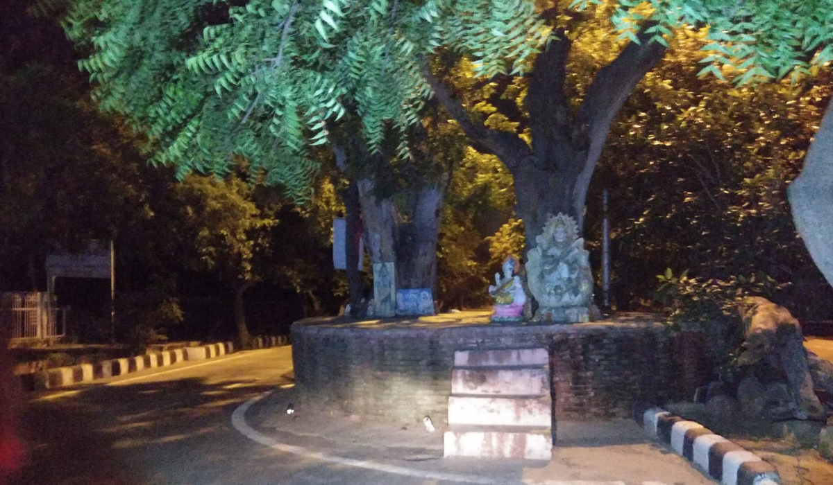 Dwarka Sector 9 Haunted Ghost Tree