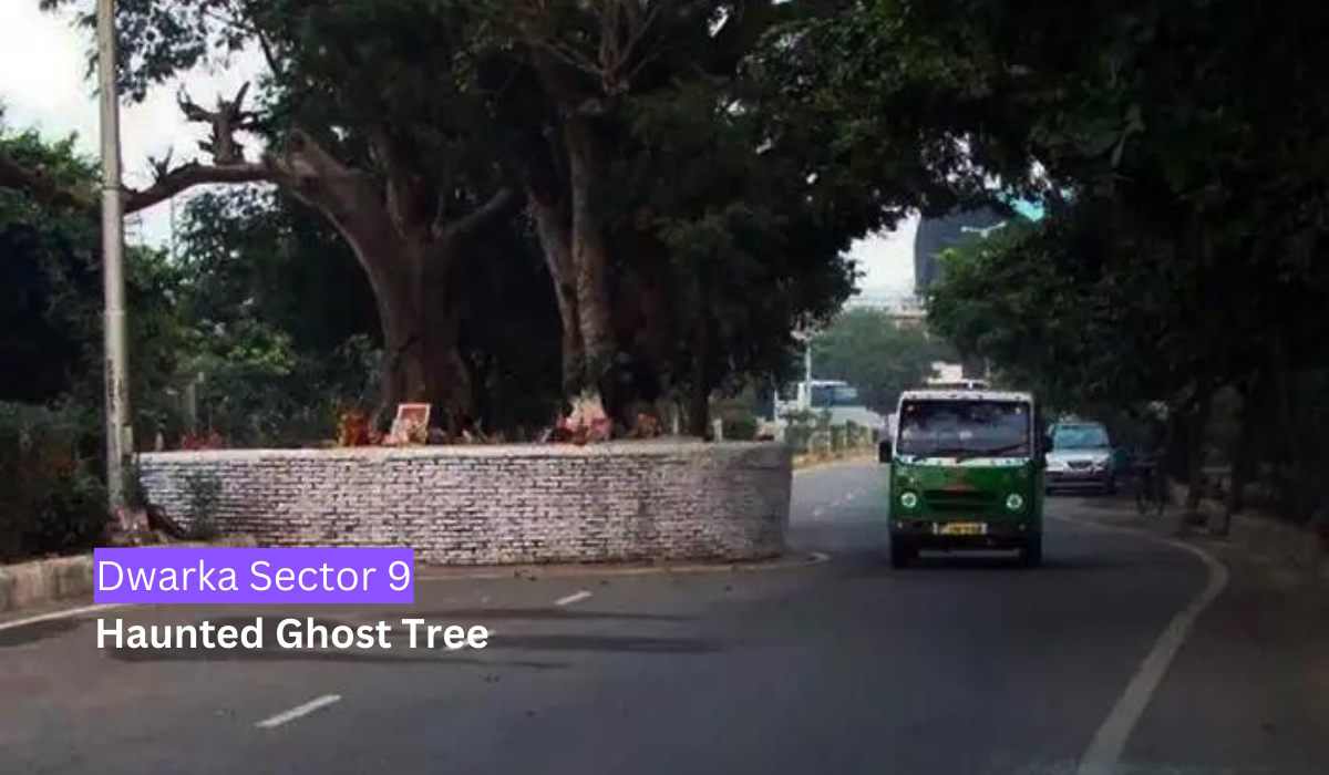 Dwarka Sector 9 Haunted Ghost Tree